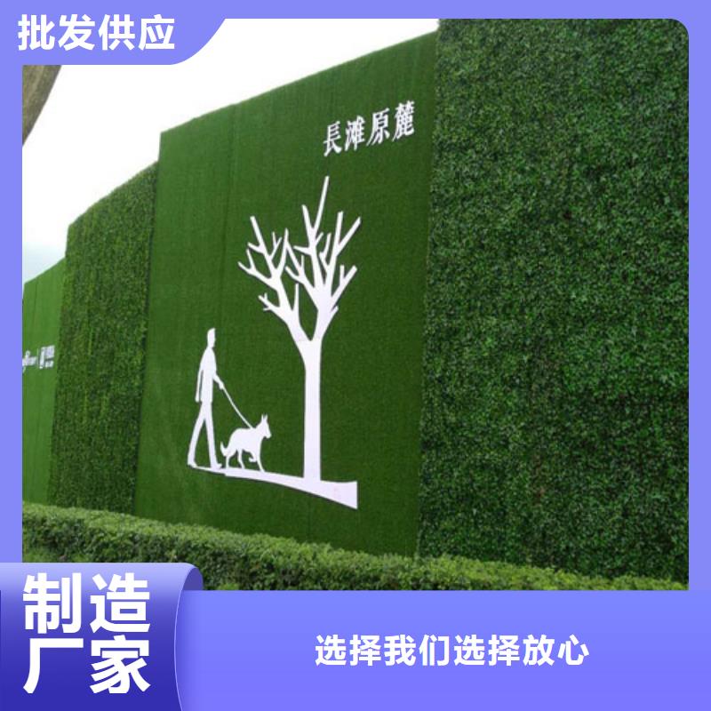 草坪围挡,人造草坪围挡经验丰富品质可靠