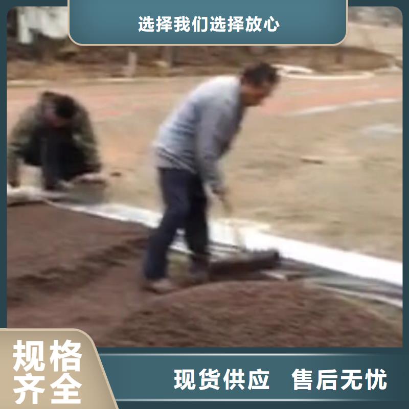 透水艺术压模地坪货源足质量好