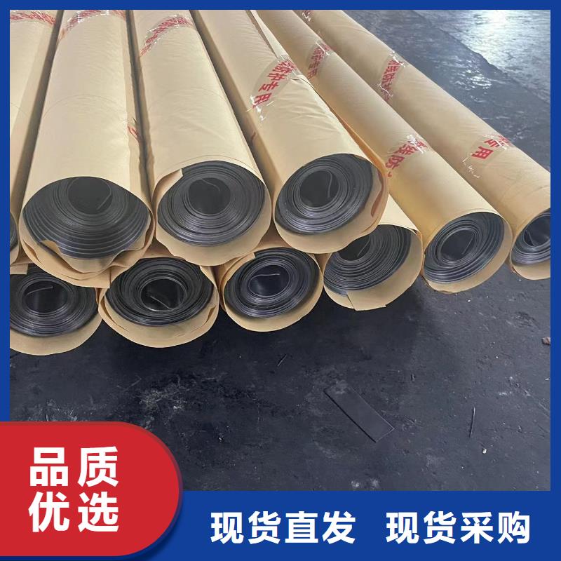 防辐射铅门源头工厂