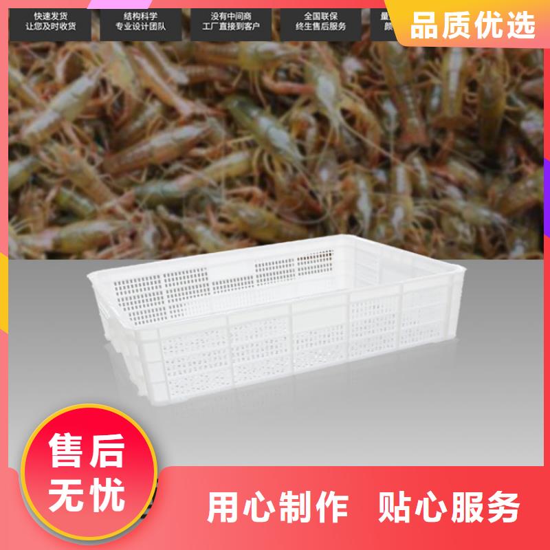 塑料筐实力大厂家