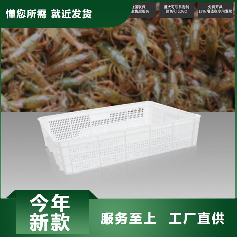【塑料筐-卧式储罐好货有保障】