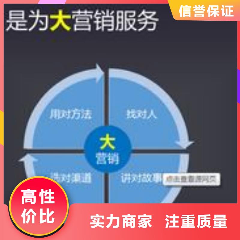 马云网络网络公司好评度高