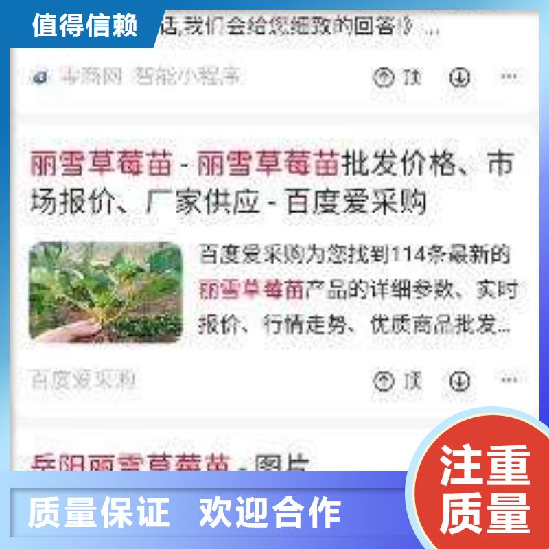 手机【网络运营】解决方案本地品牌