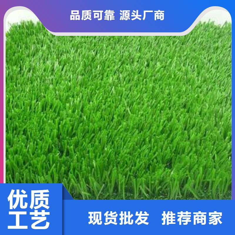 厂家【 人造草坪,塑胶跑道保障】