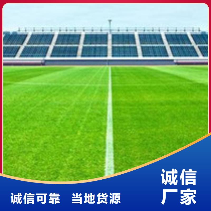 人造草坪塑胶跑道高质量高信誉