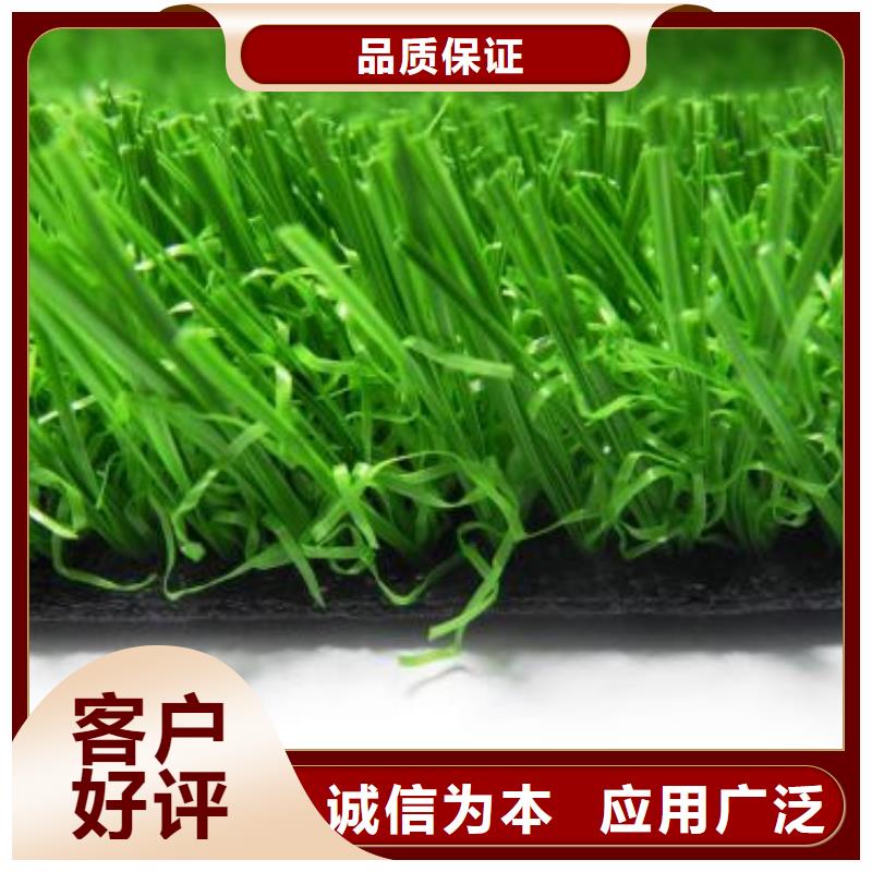 人造草坪,防静电地板专业生产N年