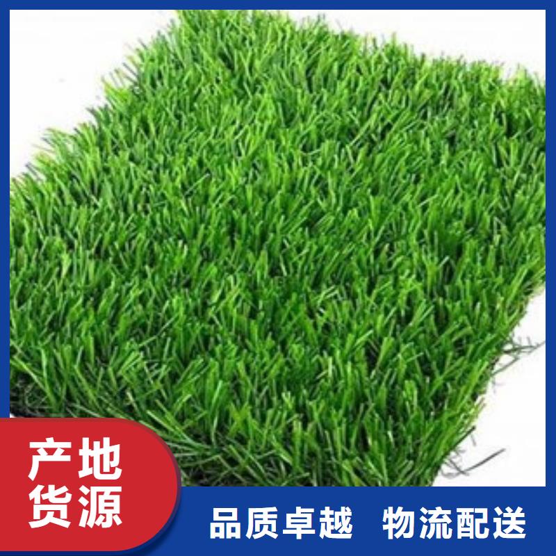 人造草坪,室外塑胶跑道用心制造