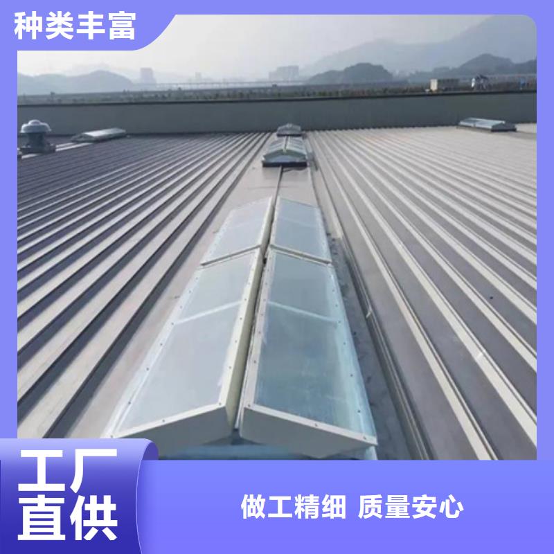 TC8-3015电动采光天窗高端定制
