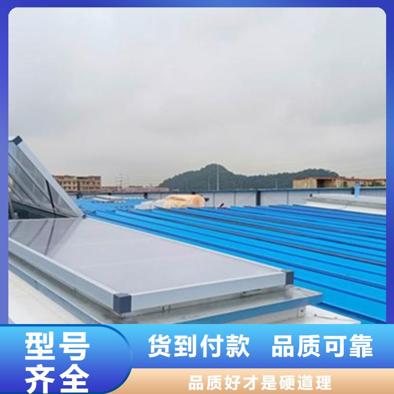学校通风气楼制造厂