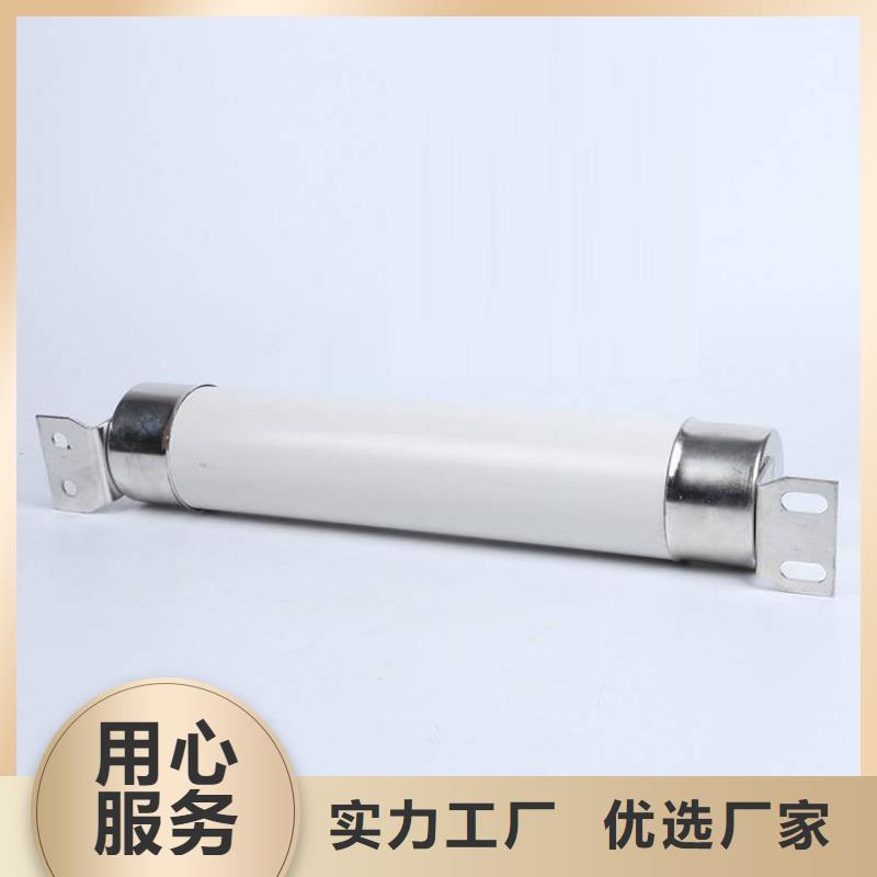 高压熔断器FKN12-12/630A品质保证实力见证