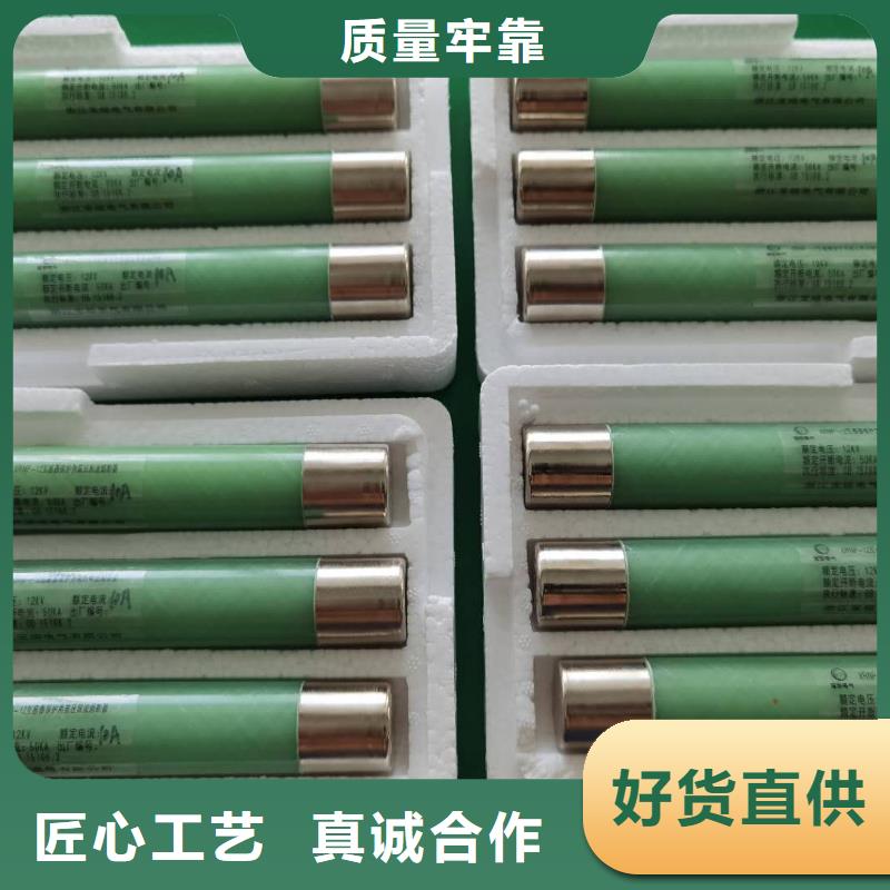 高压熔断器,FKN12-12/630A实力工厂