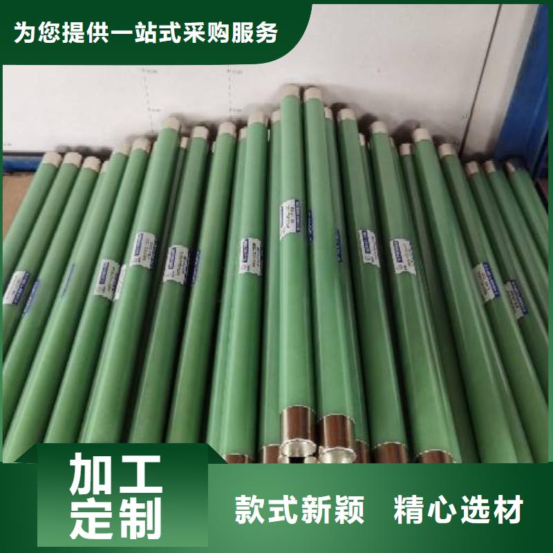 高压熔断器-XRNT-12KV熔断器选择我们没错