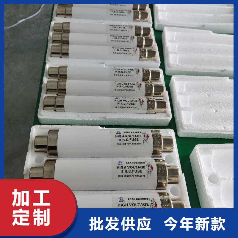 高压熔断器XRNT-12KV熔断器厂家直营