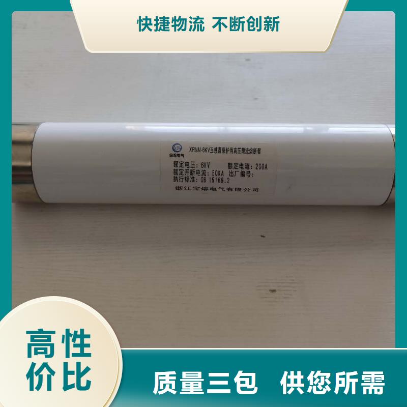 高压熔断器XRNT-12KV熔断器厂家直营