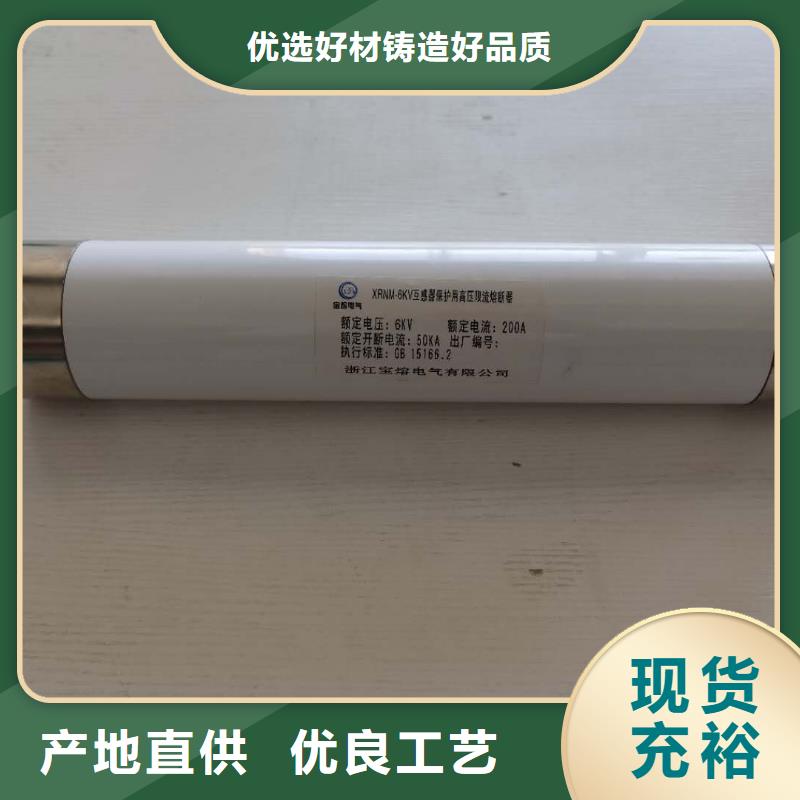 高压熔断器_BR-4应急照明配电箱符合行业标准