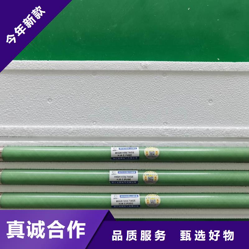 高压熔断器XRNT-12KV熔断器厂家直营