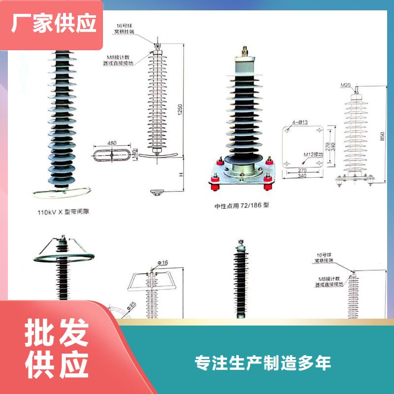 氧化锌避雷器高压负荷开关真材实料诚信经营