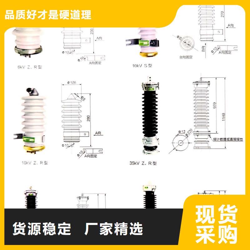 氧化锌避雷器高压限流熔断器厂家型号齐全