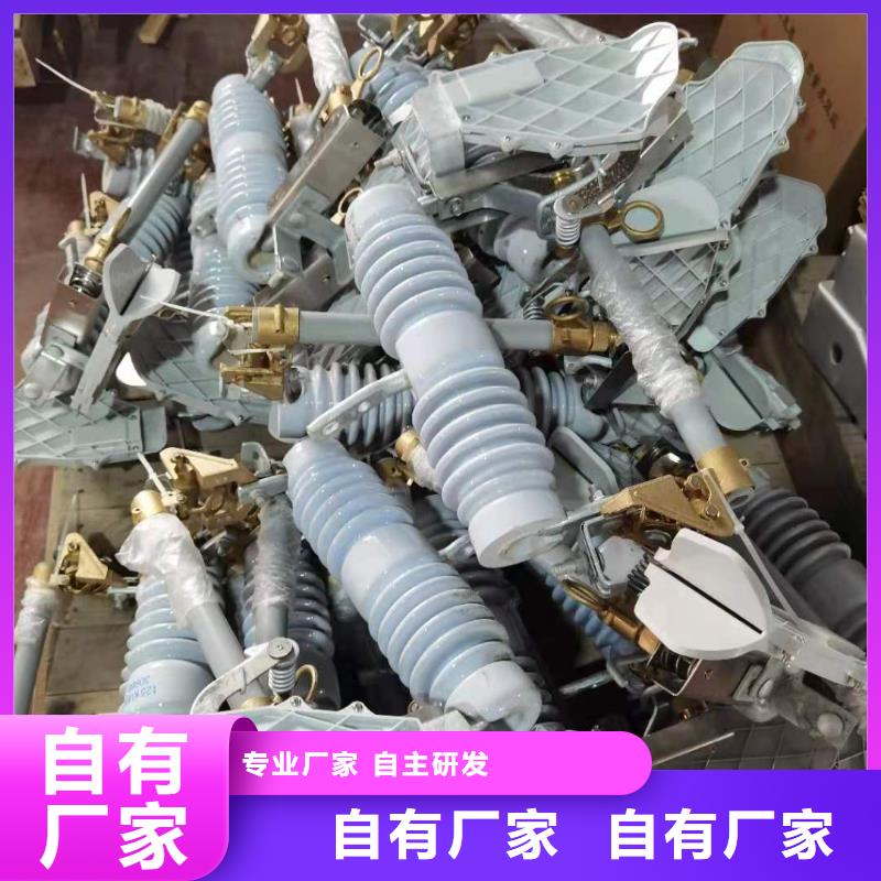 跌落式熔断器工地箱工厂自营