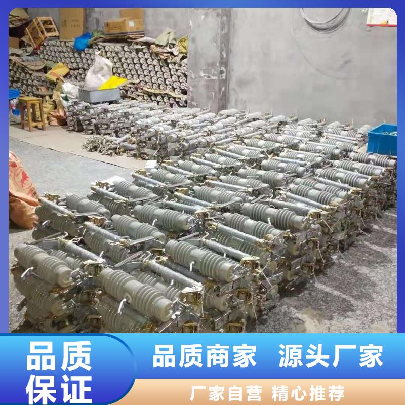 跌落式熔断器_高压限流熔断器源头工厂