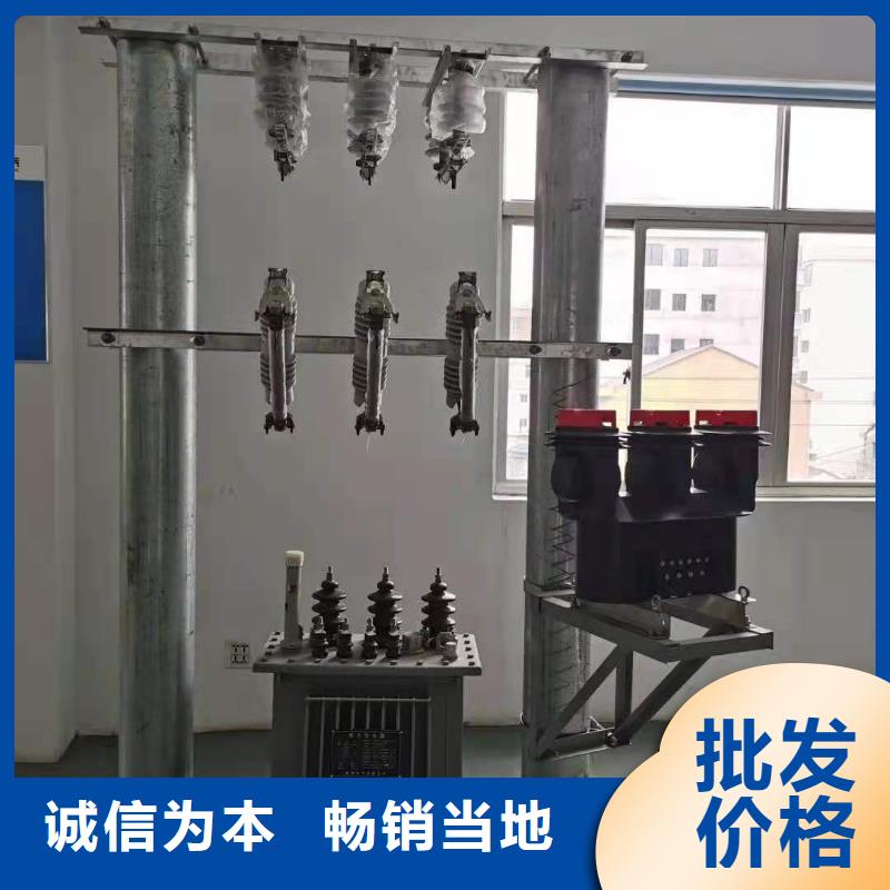 跌落式熔断器高压限流熔断器厂家直销供货稳定