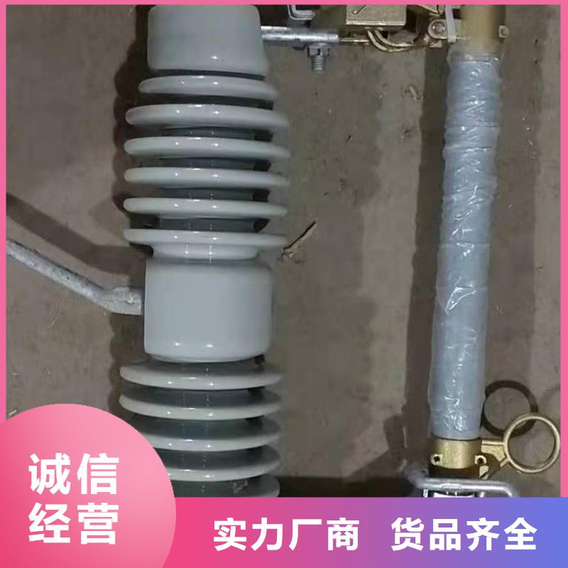 跌落式熔断器VS1户内高压真空断路器追求品质