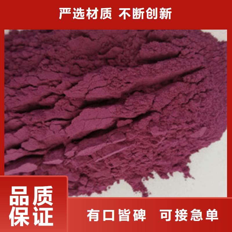 【紫薯粉】南瓜丁厂家多种规格供您选择乐农羽衣甘蓝粉
