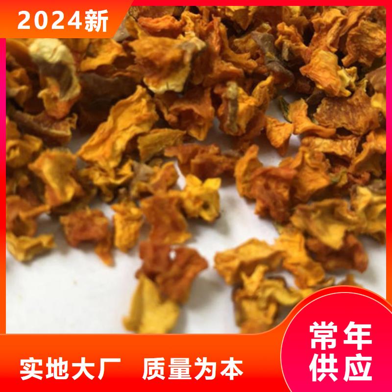 南瓜丁在线报价