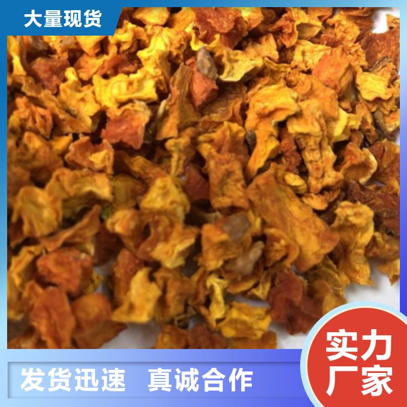 南瓜粒信息