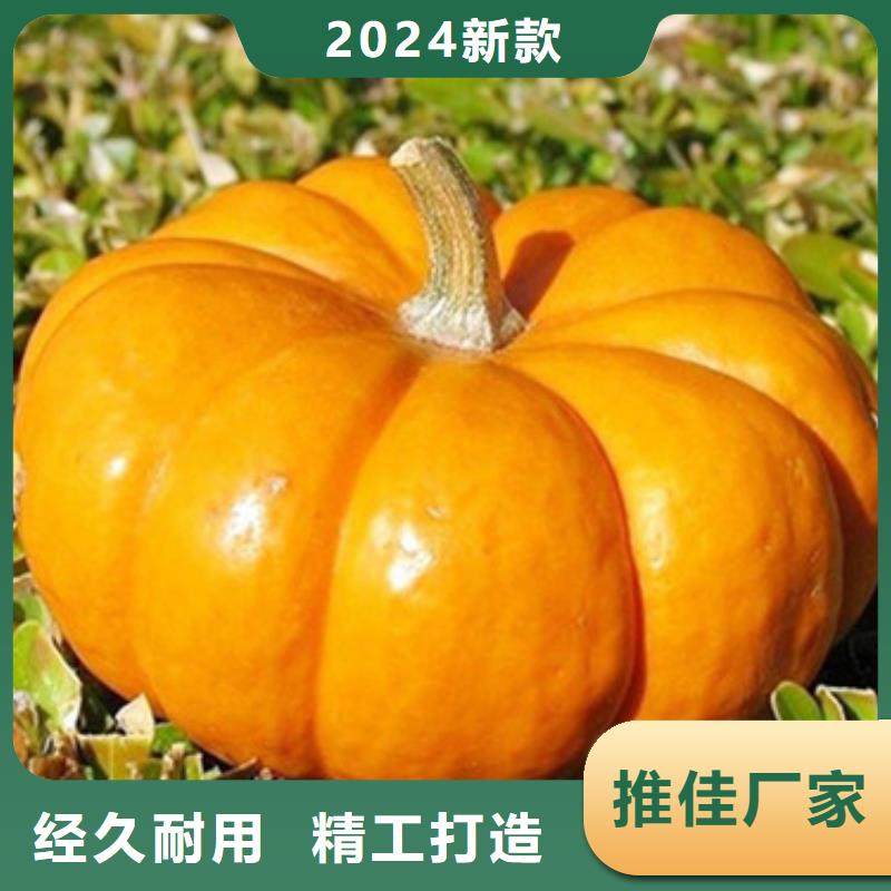 无皮南瓜粒现货供应