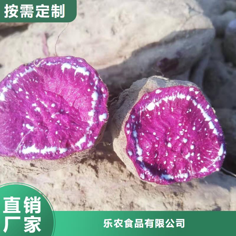紫薯苗羽衣甘蓝粉支持大小批量采购