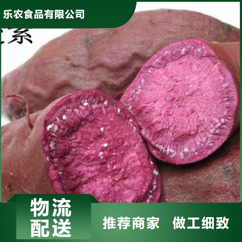 南瓜粉视频-海州|赣榆|淮安|泰州|盐城|南通南瓜粉定金锁价-乐农食品(连云港市分公司)