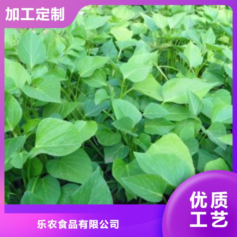 紫薯苗-南瓜粉品质之选