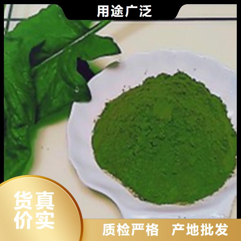 脱水菠菜粉实力老厂