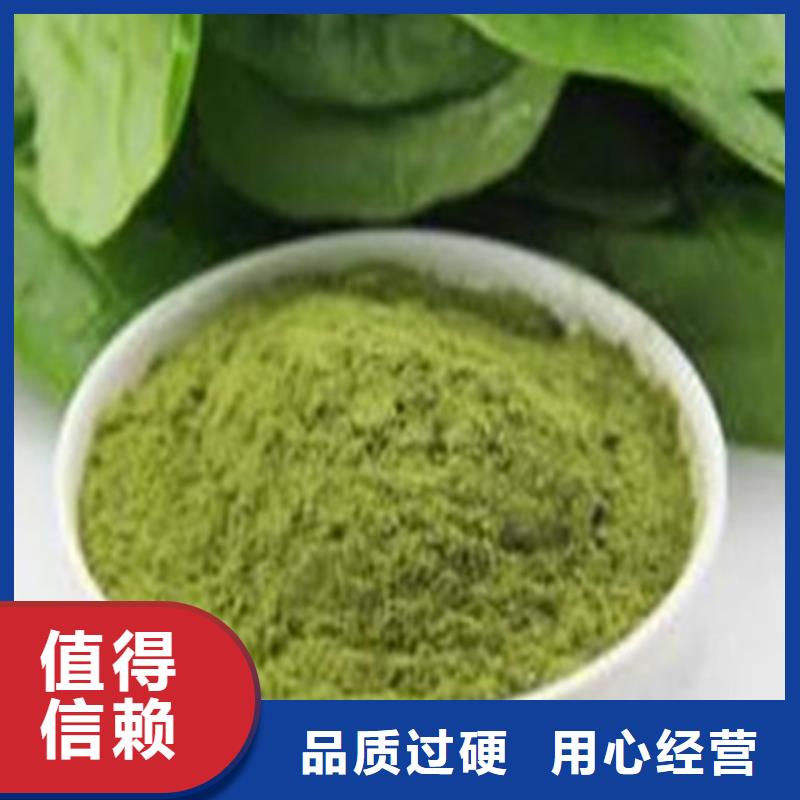 乐农食品有限公司绿色菠菜粉价格低交货快