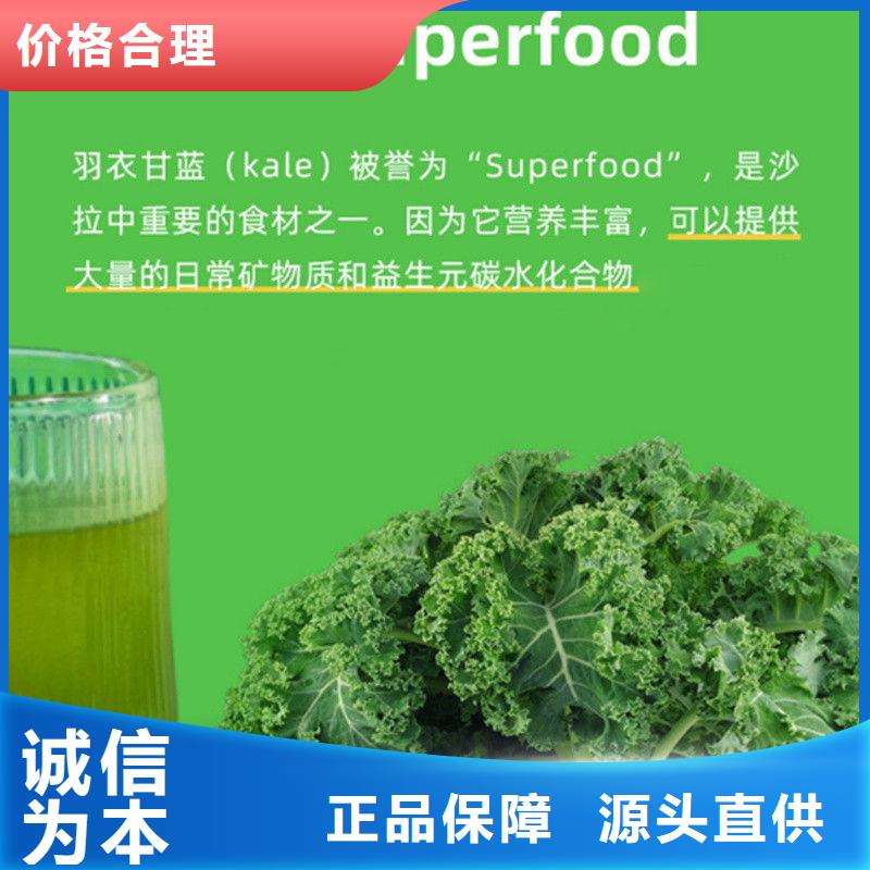 羽衣甘蓝货源充足