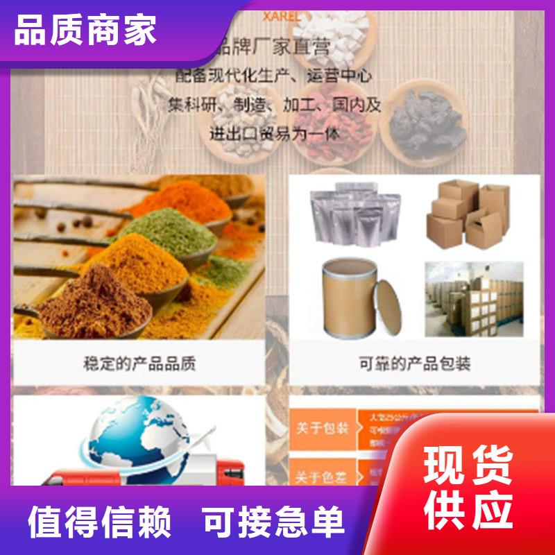 ：羽衣甘蓝供应商