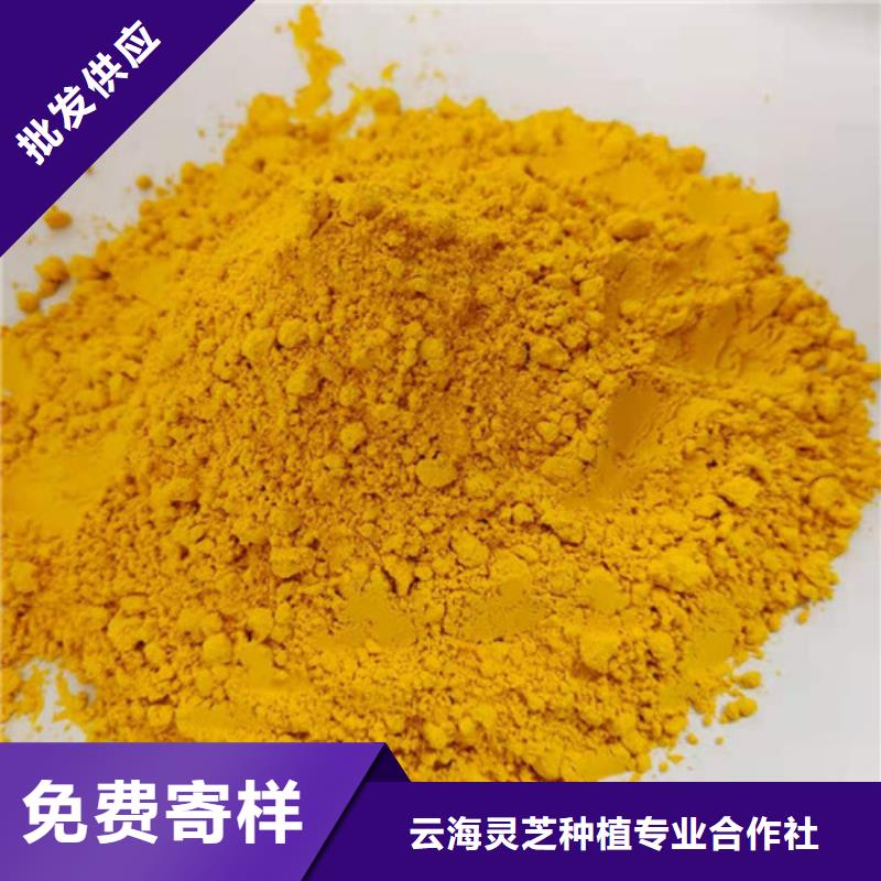 南瓜粉灵芝多家仓库发货