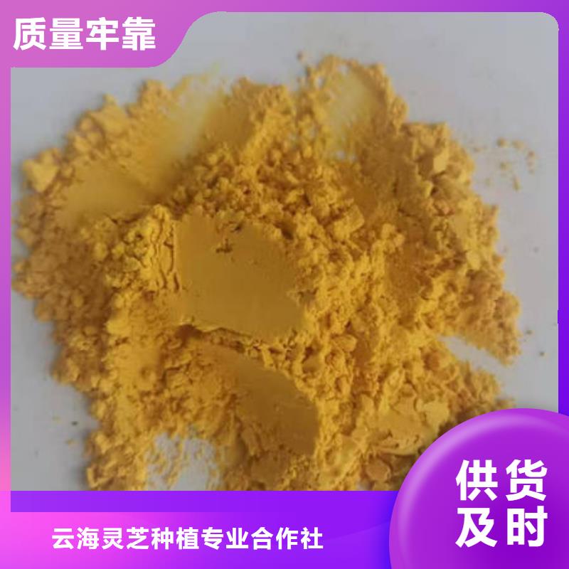 南瓜粉灵芝多家仓库发货