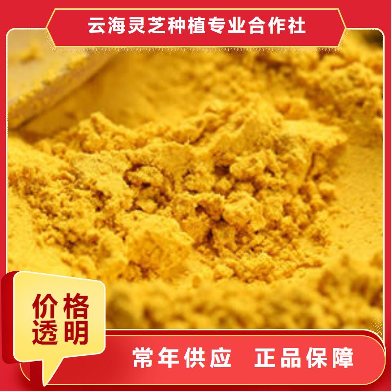 南瓜粉灵芝多家仓库发货