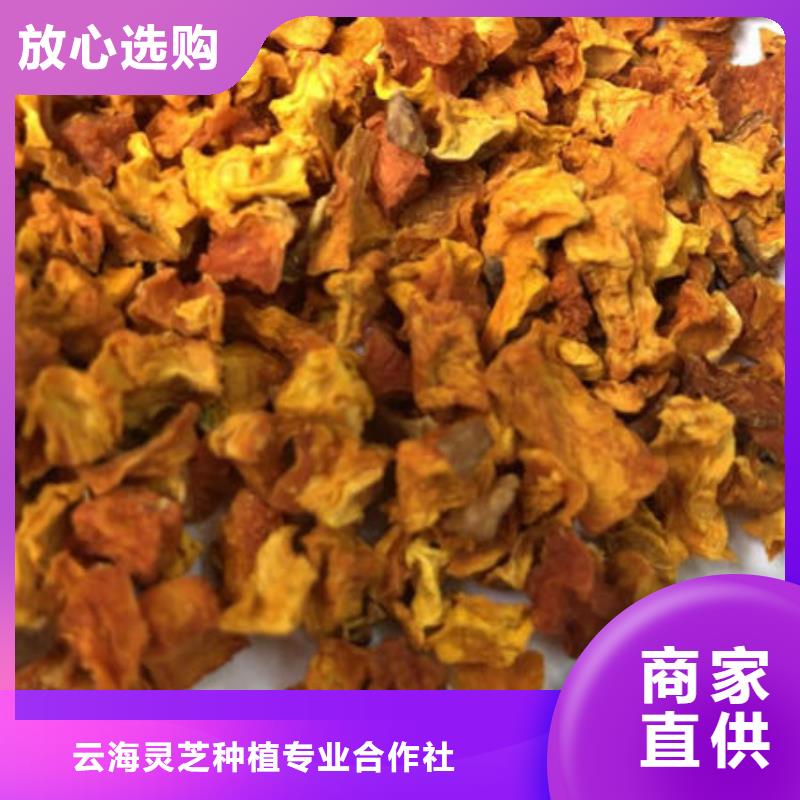 南瓜丁_灵芝子实体切片拥有多家成功案例