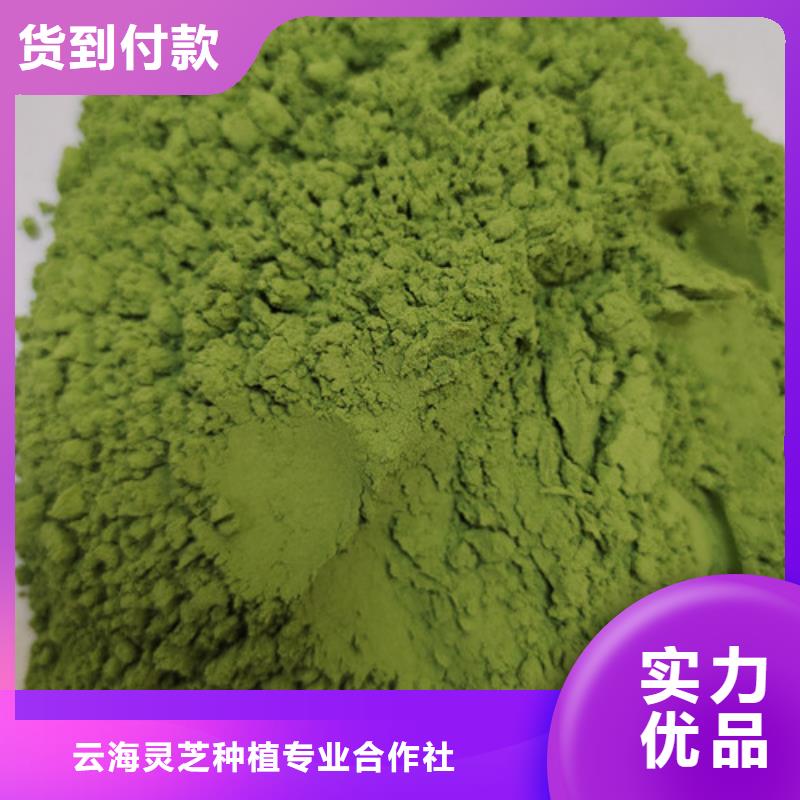 【菠菜粉】破壁灵芝孢子粉实力商家