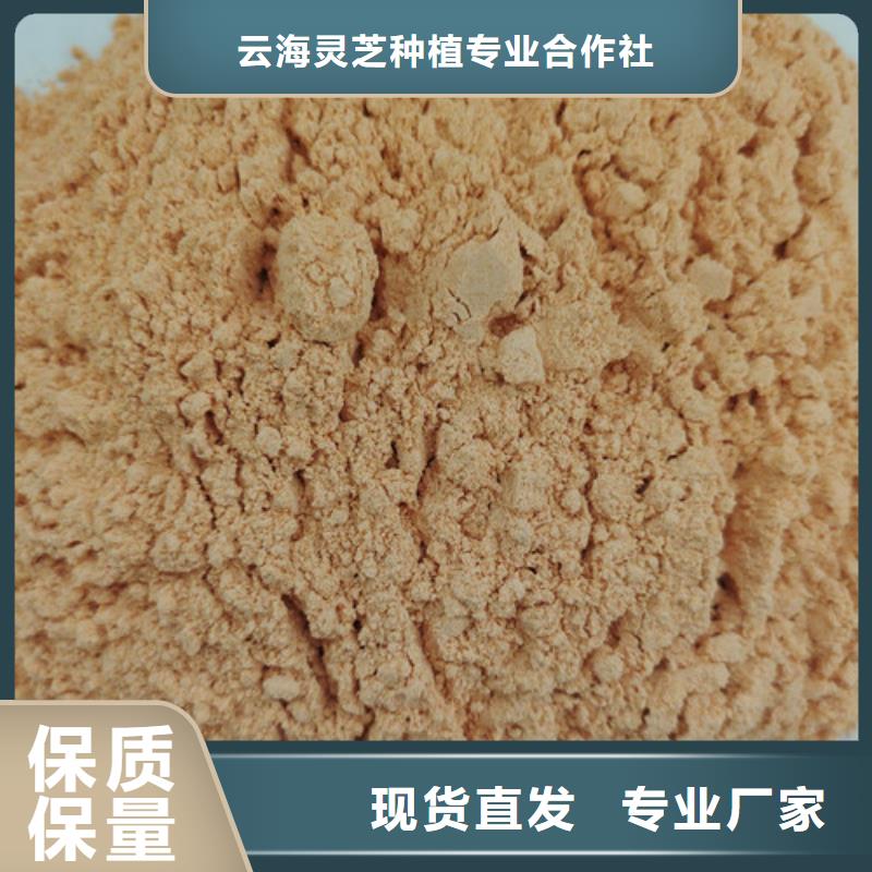 【胡萝卜粉】灵芝子实体切片厂家直销