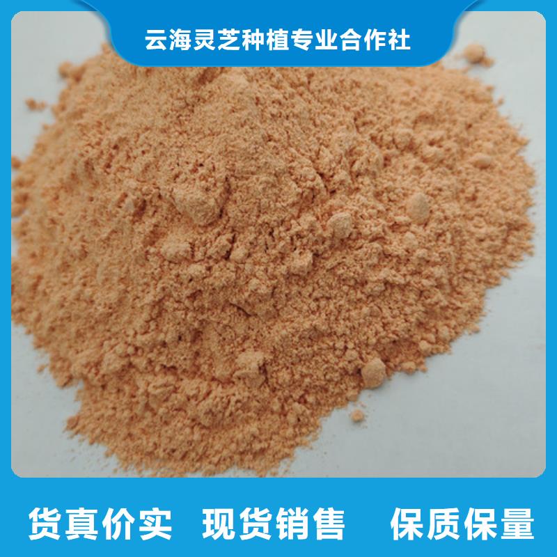 【胡萝卜粉】灵芝一件也发货