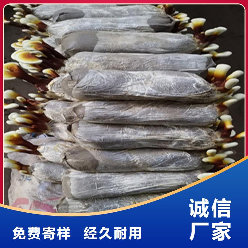 灵芝菌包视频-灵芝菌包(云海)覆盖地域山西省晋中市灵石|寿阳|长治|大同|朔州|忻州|吕梁|晋城