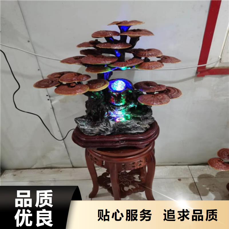 灵芝菌包视频-灵芝菌包(云海)覆盖地域山西省晋中市灵石|寿阳|长治|大同|朔州|忻州|吕梁|晋城