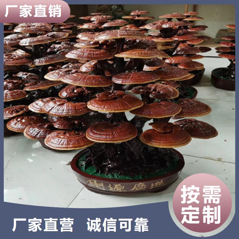 云海灵芝菌包【 灵芝孢子粉助您降低采购成本】