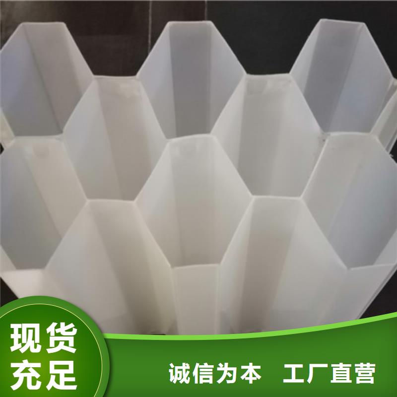 蜂窝斜管,【活性炭】专业信赖厂家