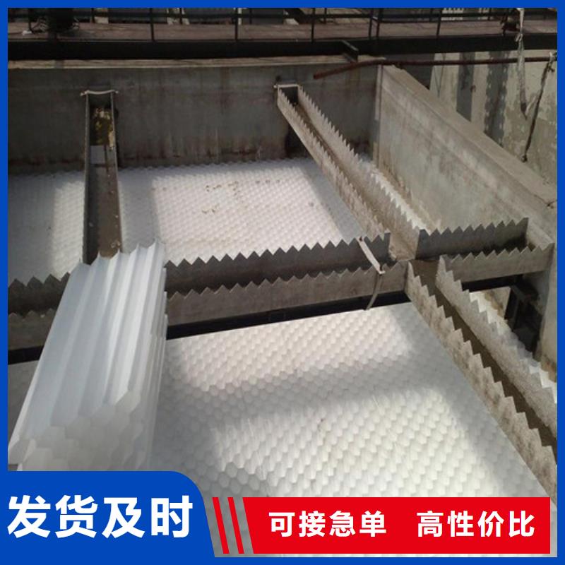 PAM视频-PAM-黑龙江省哈尔滨市同城货源-双城|木兰|齐齐哈尔|大庆|鹤岗|绥化|牡丹江|佳木斯