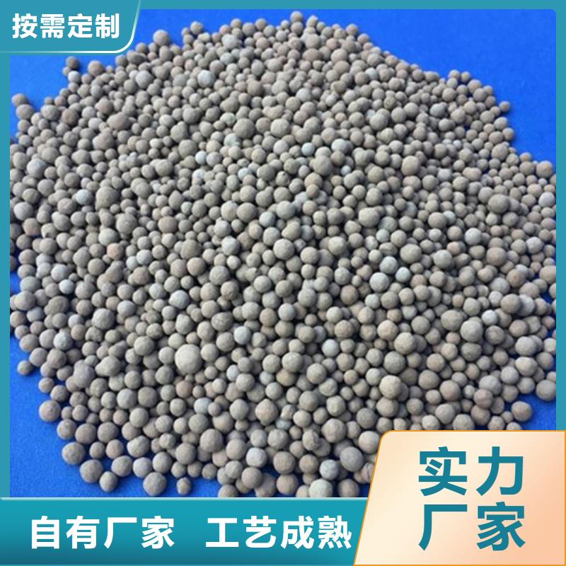 陶粒蜂窝活性炭现货充足